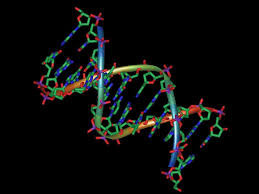 Biomoléculas I