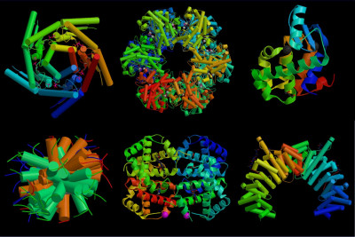 Biomoléculas II